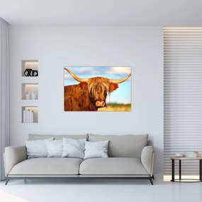 Tablou - Vacă scoțiană (90x60 cm)