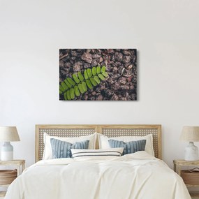 Tablou cu planta verde (90x60 cm)