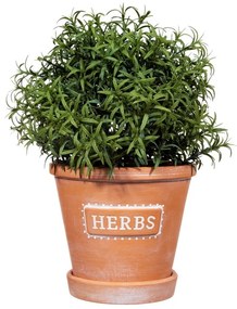 Ghiveci de teracotă cu farfurie Sass & Belle Herbs, ø 12,5 cm