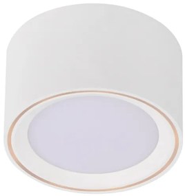 Nordlux - Spot LED dimabil FALLON LED/5,5W/230V alb