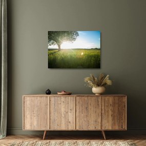 Tablou pe sticlă cu lunca în vară (70x50 cm)