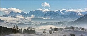 Tablou cu munții înzăpeziți (120x50 cm)