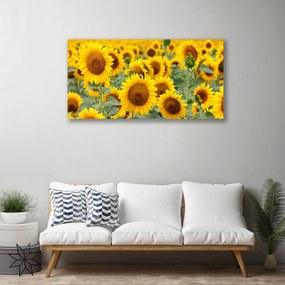 Tablou pe panza canvas Floarea soarelui Floral Brown Galben
