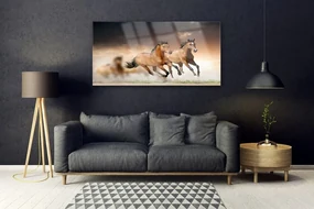 Tablou pe sticla Cai Animale Maro