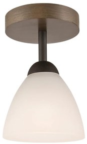 Lustr ADRIANO 1xE27/60W/230V, přisazený model