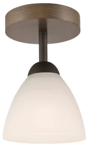 Lustr ADRIANO 1xE27/60W/230V, přisazený model