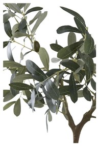Olivafa műnövény, zöld 61 cm