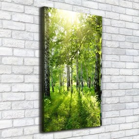 Print pe canvas Pădurea de mesteacăn