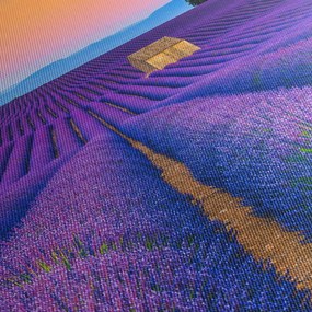 Tablou - Câmp de levănțica (cu ceas) (90x30 cm)
