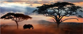 Tablou - Parcul Național Serengeti, Tanzania, Africa (120x50 cm)
