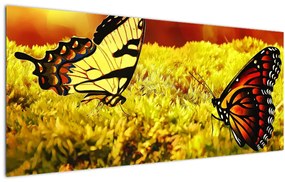Tablou cu fluturi (120x50 cm)
