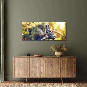 Tablou - Bufniță în copac (120x50 cm)