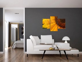 Tablou - Floarea-soarelui (90x60 cm)