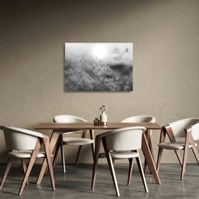 Tablou pe sticlă - Pajiște de toamnă (70x50 cm)