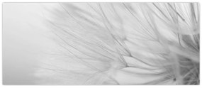 Tablou - Dandelion (120x50 cm)
