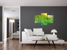 Tablou - Frunze de palmier (90x60 cm)