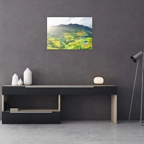 Tablou pe sticlă plantație (70x50 cm)