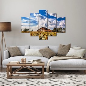 Tablou cu câmp de floarea soarelui (150x105 cm)