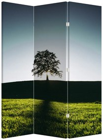 Paravan - Copac (126x170 cm)