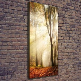 Tablou pe pânză canvas Pădure în toamna