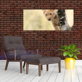 Tablou cu pui de leu (120x50 cm)