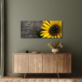 Tablou - Floare de floarea soarelui (120x50 cm)