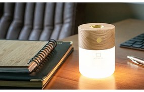 Difuzor de parfum electric Smart – Gingko