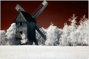 Tablou cu moară (90x60 cm)