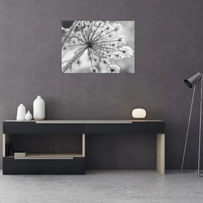 Tablou pe sticlă - Floare în timpul iernii (70x50 cm)