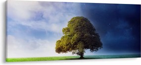 Tablou - Noapte și zi (120x50 cm)