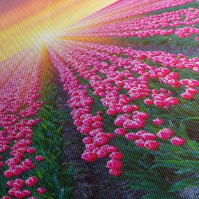 Tablou cu câmp de lalele cu soare (90x60 cm)