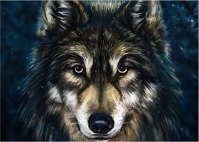 Tablou - Wolf (70x50 cm)