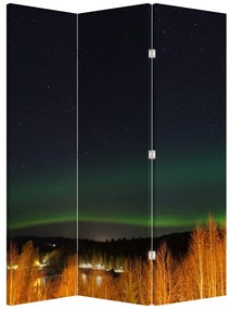 Paravan - Aurora borealis (126x170 cm)