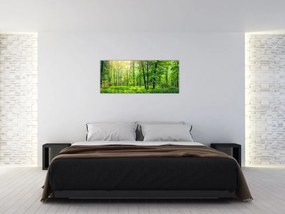 Tablou - Pădurea cu frunze de primăvară (120x50 cm)