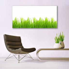 Tablou pe panza canvas Weed Natura verde