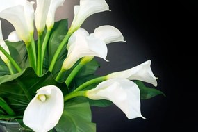 Aranjament floral elegant BOWL CALLA, 120cm 1141075.95