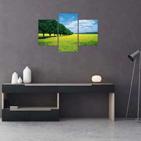 Tablou - Câmp cu alei (90x60 cm)