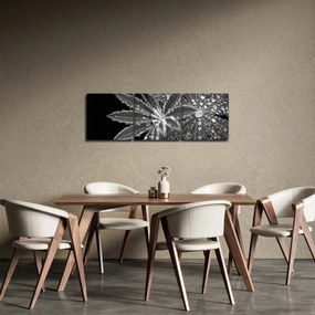Tablou - Frunze cu picături (cu ceas) (90x30 cm)