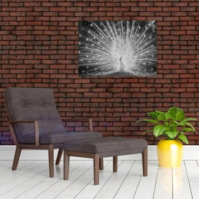 Tablou pe sticlă - Păun alb (70x50 cm)