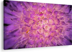 Tablou detailat cu floare (90x60 cm)