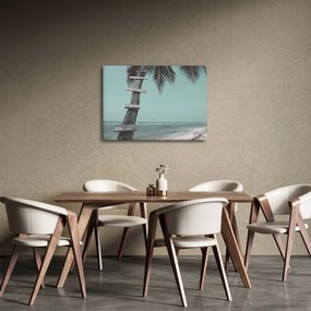 Tablou - Palma în Caraibe (70x50 cm)