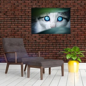 Tablou cu pisica (90x60 cm)