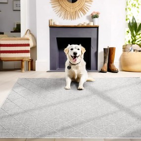 Covor de exterior gri 80x150 cm Zagora – Ayyildiz Carpets