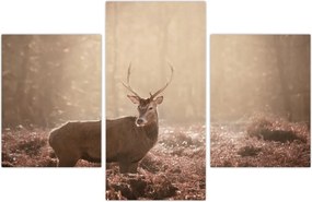 Tablou - Cerb în pădure (90x60 cm)