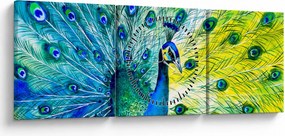 Tablou - Păun (cu ceas) (90x30 cm)