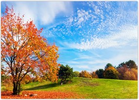 Tablou - Peisaj de toamnă (70x50 cm)