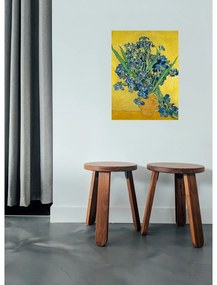 Reproducere pe pânză după Vincent van Gogh - Irises, 60 x 45 cm