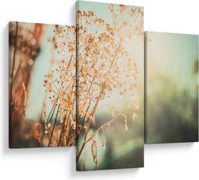 Tablou - Plante de luncă (90x60 cm)