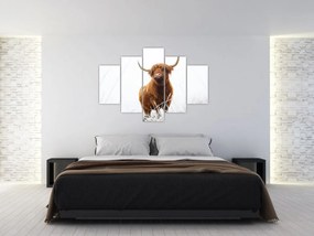 Tablou - Vacă scoțiană (150x105 cm)