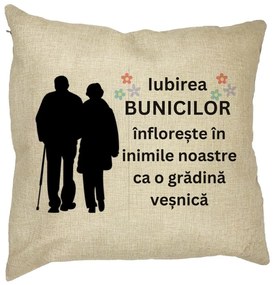 Perna Decorativa pentru Bunici 1, 40x40 cm, Husa Detasabila, Burduf